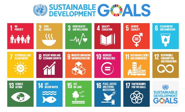 Apa itu SDG dan Indogo: Mewujudkan Pembangunan Berkelanjutan